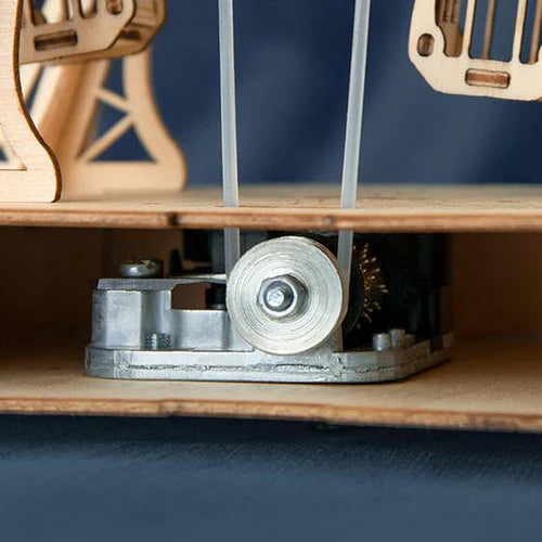 Rolife Ferris Wheel DIY Music Box 3D Wooden Puzzle TGN01